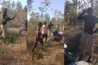 Surajpur Forest Guard