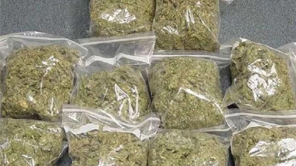 Ganja Smuggling 