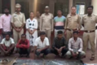 Bastar tiger poaching