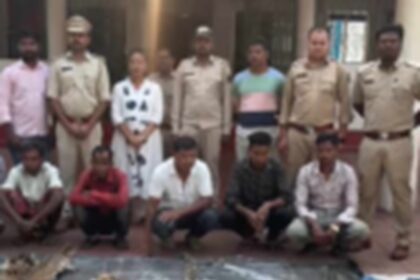 Bastar tiger poaching