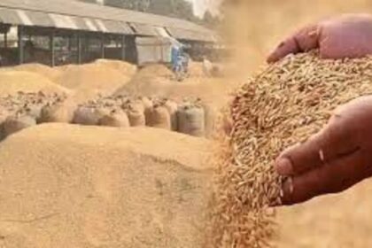 Chhattisgarh Assembly