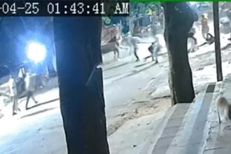 Bilaspur Masked Attack Case