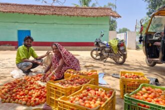 Lakhpati Didi Scheme