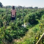 Modern Farming Success