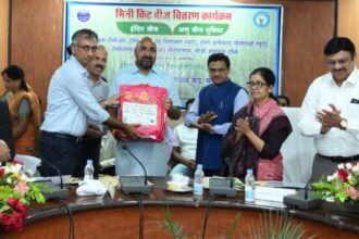 Revolutionary Rice Breeding