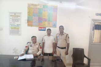 Online Payment Fraud