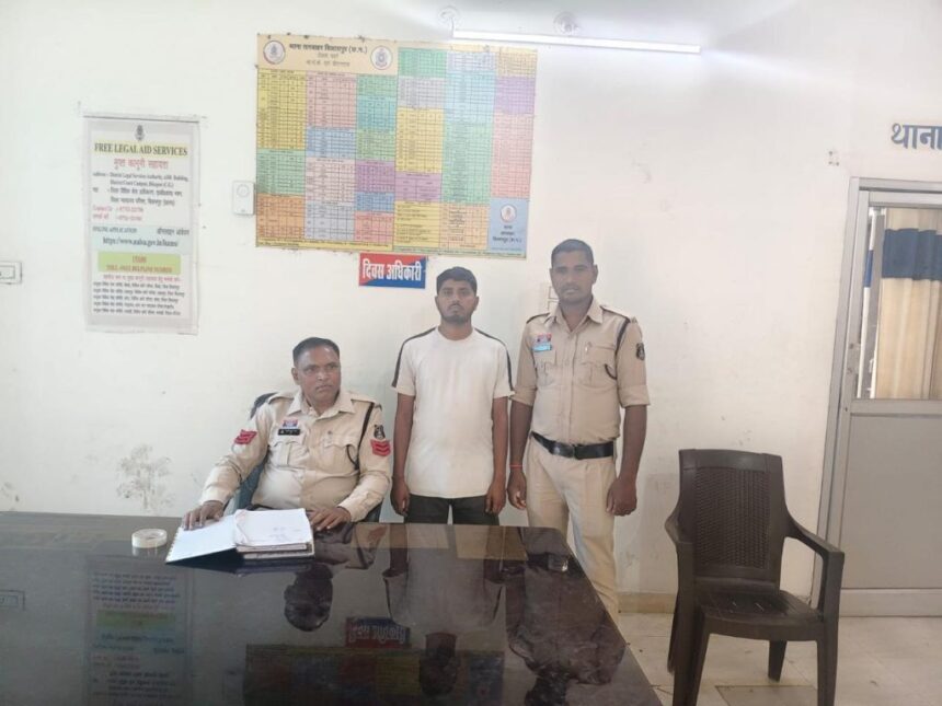 Online Payment Fraud