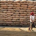 Paddy Procurement Crisis