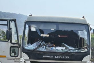 Raigarh Road Accident