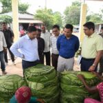 Tendu Leaf Procurement
