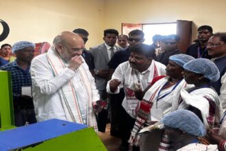 Amit Shah Tamarind Center