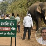 Barnawapara Elephant Alert