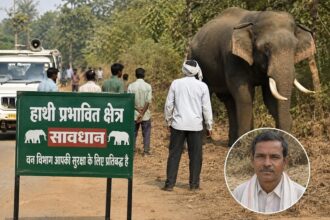 Barnawapara Elephant Alert