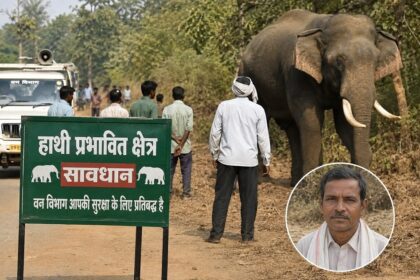 Barnawapara Elephant Alert