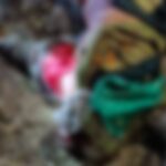 Murder Case