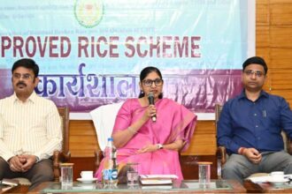CG Rice Milling Modernization