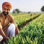 Chhattisgarh Nano Fertilizer Shift