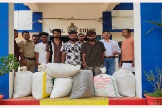 Ganja Smuggling