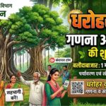 Heritage Trees Conservation