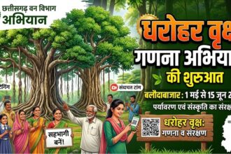 Heritage Trees Conservation