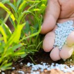 Mahasamund Urea Fertilizer FIR