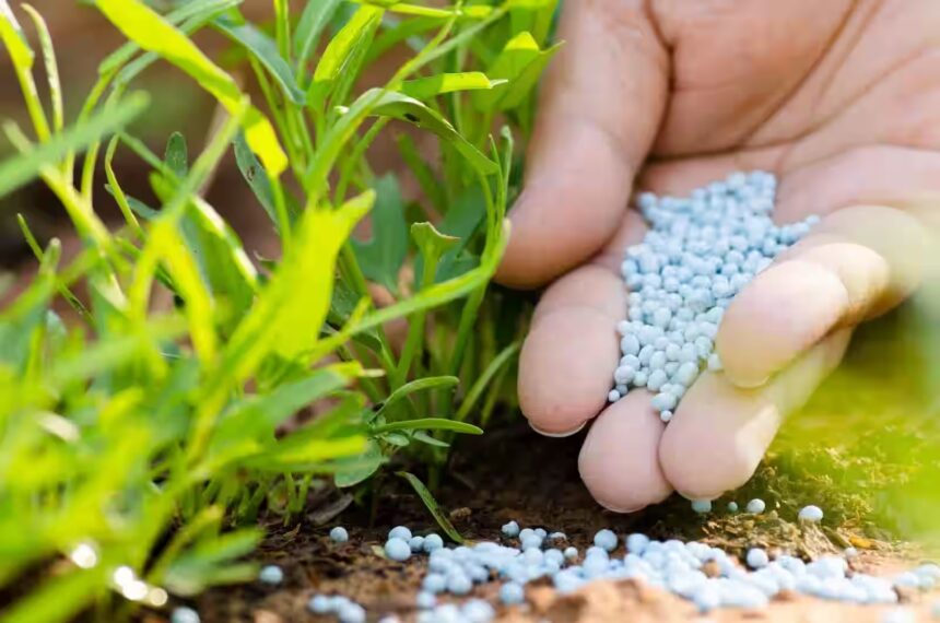 Mahasamund Urea Fertilizer FIR