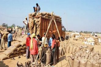 Paddy Scam Mohara 