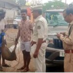 Raigarh Deer Death