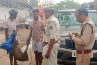 Raigarh Deer Death