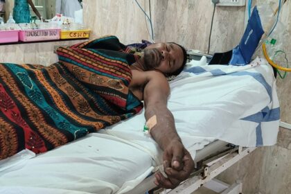 Wild Animal Attack Rajnandgaon