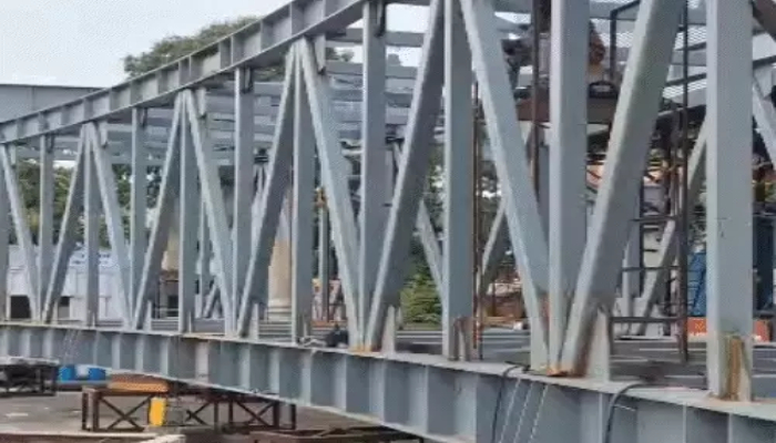Raipur Skywalk Project