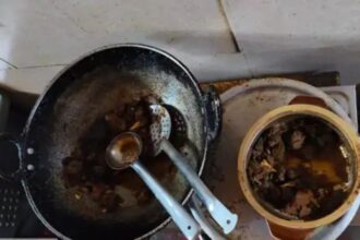 Beef Cooking Information Case