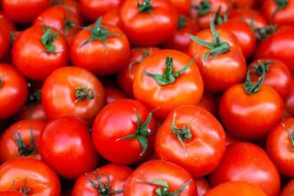 Tomato Price