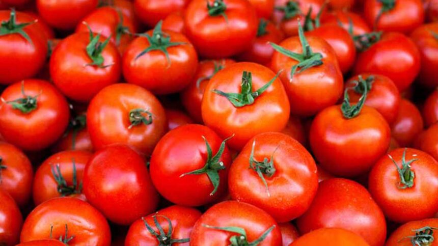 Tomato Price