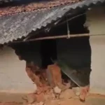 Raigarh Elephant Terror
