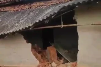 Raigarh Elephant Terror