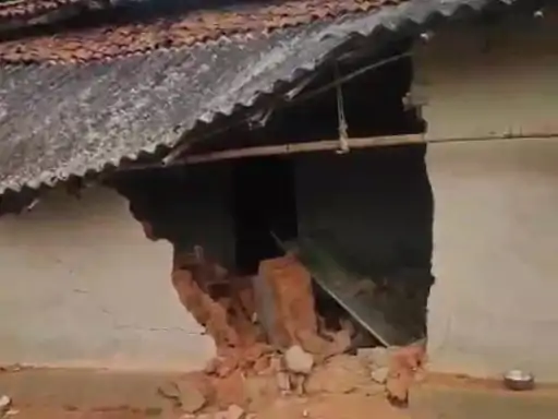 Raigarh Elephant Terror