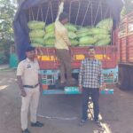 DAP Seizure