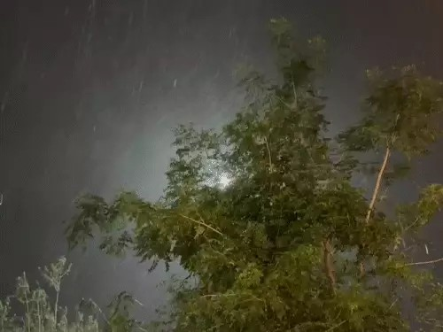 Chhattisgarh Weather Update