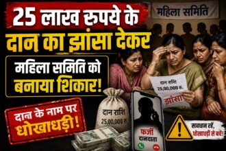 Donation Fraud Case 