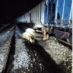 Elephant Train Accident 