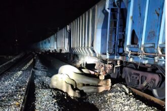 Elephant Train Accident 