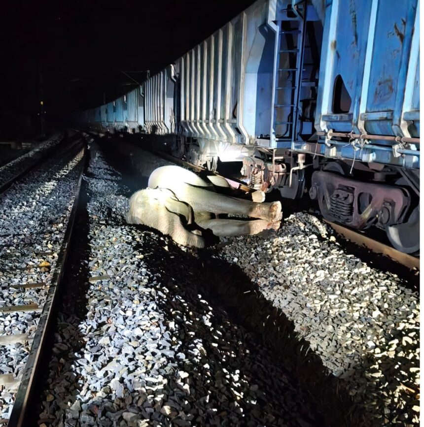 Elephant Train Accident 