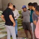 Fertilizer Black Marketing