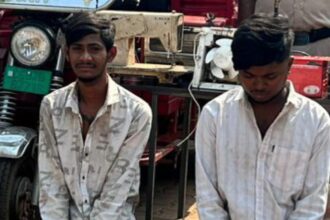 Bhilai Sector 10 theft case