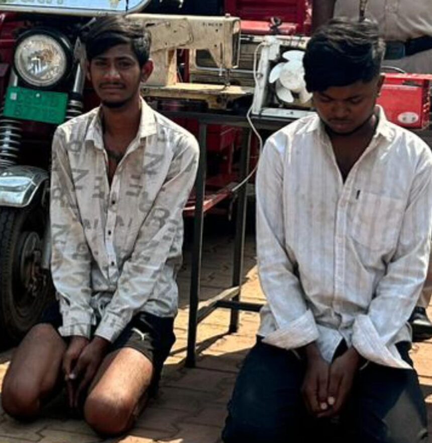 Bhilai Sector 10 theft case