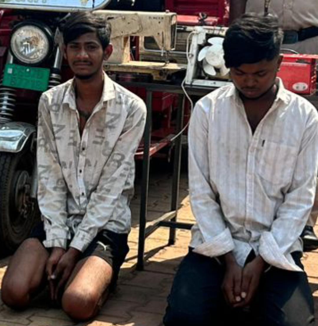 Bhilai Sector 10 theft case