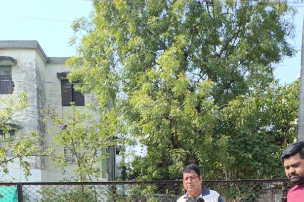 BJP Bhilai : A tree in the name of mother