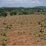 Mor Gaon Mor Pani
