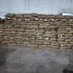 Seed Production Program